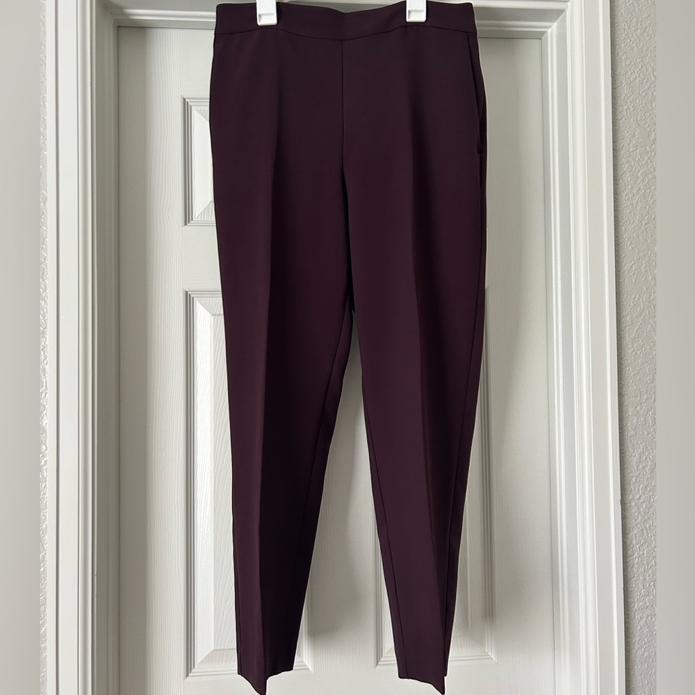 Ankle Length Ann Taylor Pants